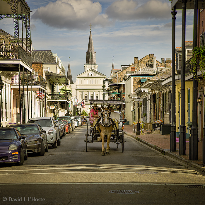 Carriage on Orleans Street, French Quarter, New Orleans (6574)