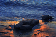 051120_rivercolor_3648