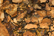 rust7284