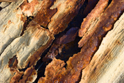 rust7298