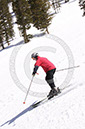 DP_8073
