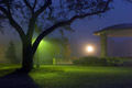 peristyle07790612