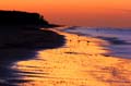rutherfordbeach_1337