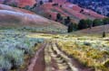 ruts_9085