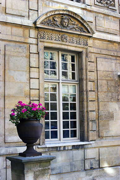 geraniumwindow9606